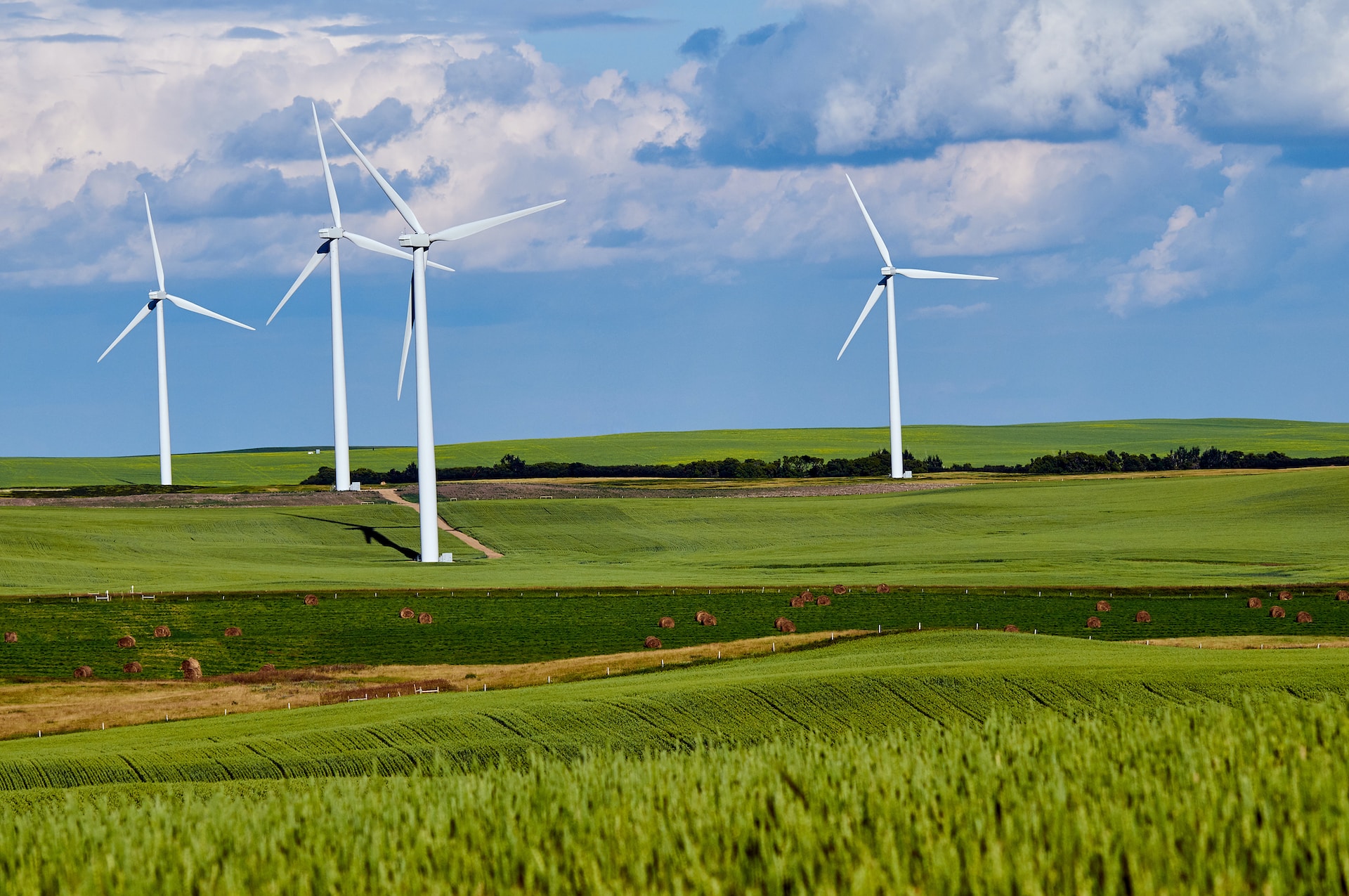 Read more about the article Energy UK responds to Government announcement about onshore wind